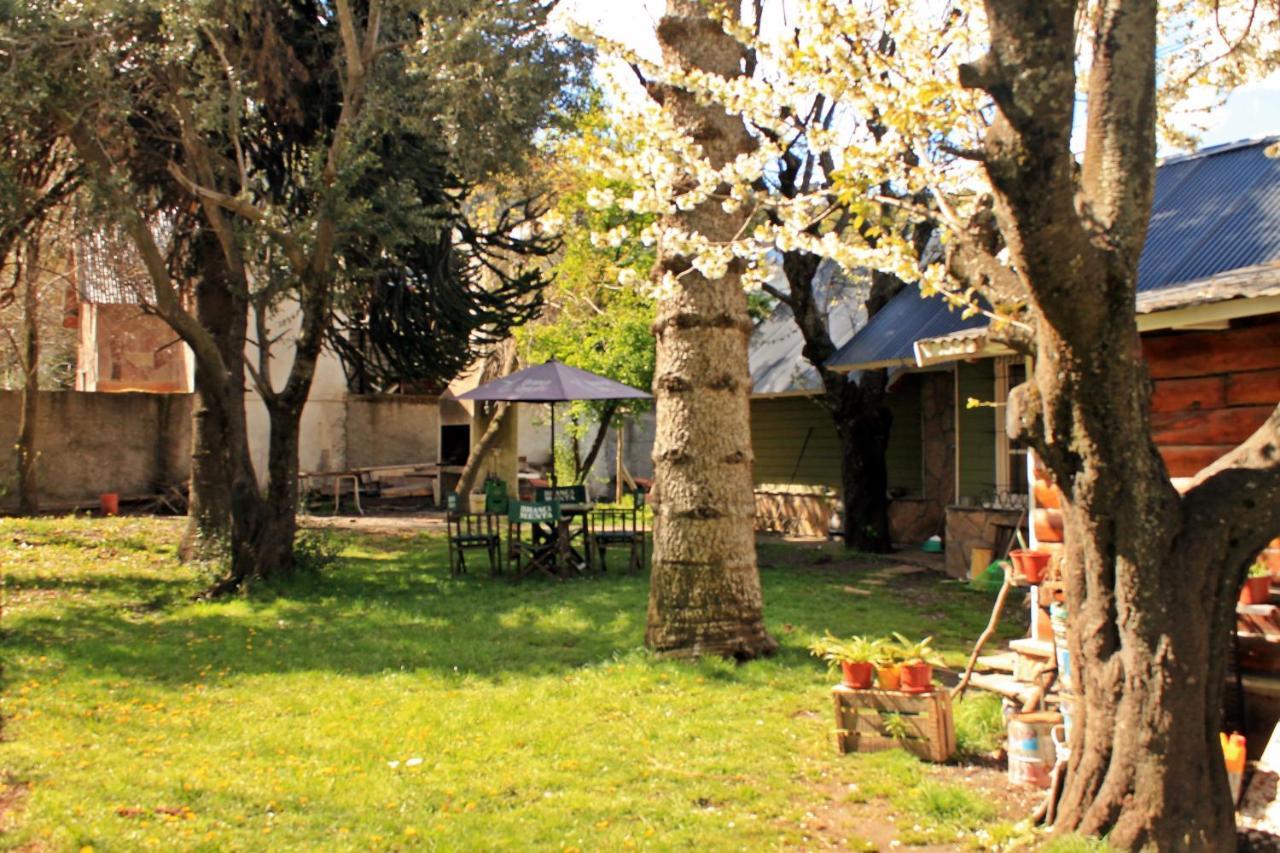 Alhue Patagonia Hostel San Martín de los Andes Eksteriør billede
